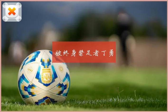 被终身禁足者丁勇