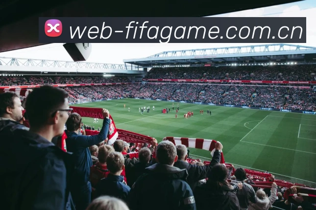 FIFA官方数据授权证书